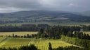 Waipara Valley