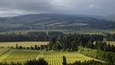 Waipara Valley