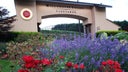 Willamette Valley