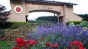 Willamette Valley