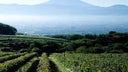 Yamanashi
