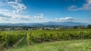 Yarra Valley